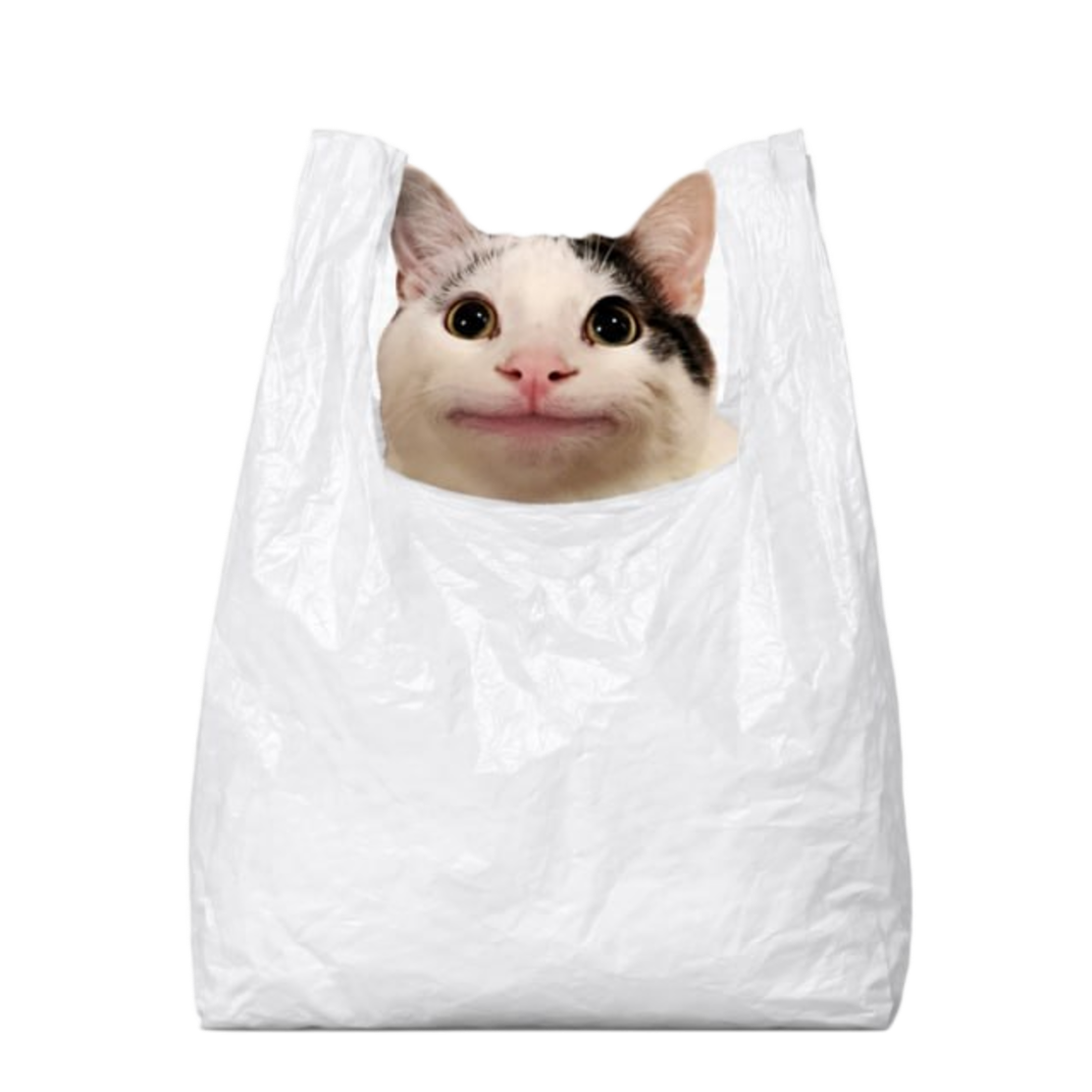 Cat In Bag